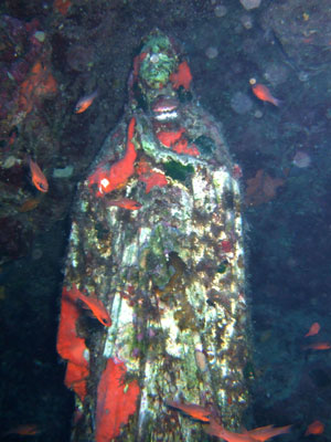 Cirkewwa Madonna