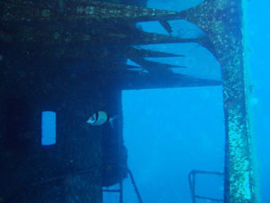 Um El-Faroud Pic1