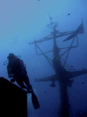 P29 Mast